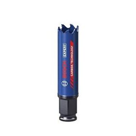 Bosch 2608900419 20 mm Expert Sert Malzemeler için Panç