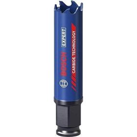 Bosch 2608900419 20 mm Expert Sert Malzemeler için Panç