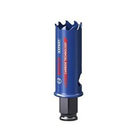 Bosch 2608900420 22 mm Expert Sert Malzemeler için Panç