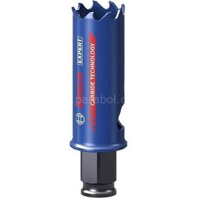 Bosch 2608900420 22 mm Expert Sert Malzemeler için Panç