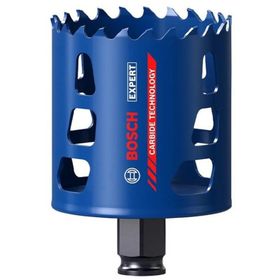 Bosch 2608900431 65 mm Expert Sert Malzemeler için Panç