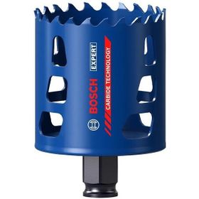 Bosch 2608900431 65 mm Expert Sert Malzemeler için Panç