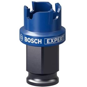 Bosch 2608900492 21 mm Çelik Inox için Özel Seri Panç
