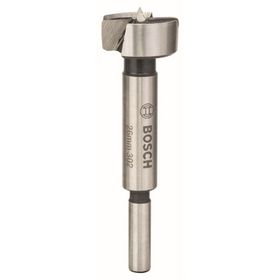Bosch 26x235 mm Yılan Matkap Ucu
