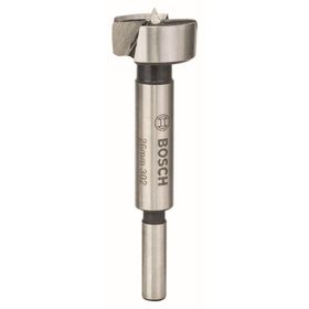 Bosch 26x235 mm Yılan Matkap Ucu
