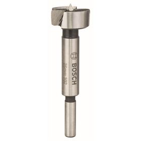 Bosch 26x235 mm Yılan Matkap Ucu