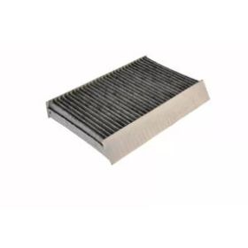 Bosch 272778970R Karbonlu Polen Filtresi