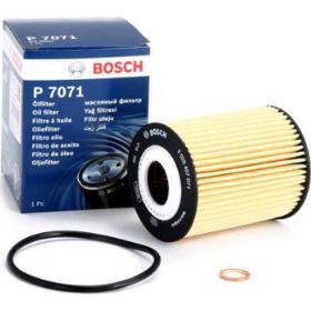 Bosch Chevrolet Captiva 2.0 D 2007-2011 Dizel Yağ Filtresi