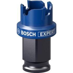Bosch Expert Sheet Metal Delik Açma 22 x 5 mm Testere