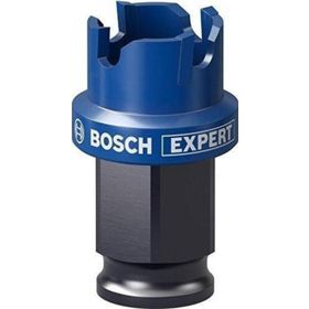 Bosch Expert Sheet Metal Delik Açma 22 x 5 mm Testere