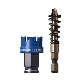 Bosch Expert Sheet Metal Delik Açma 25 x 5 mm Testere