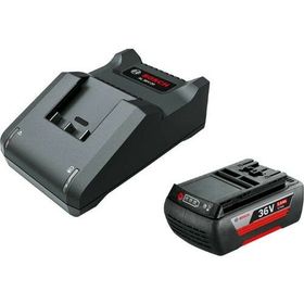 Bosch F016800609 36 V 2.0 Ah + Al 36V-20 Başlangıç Seti