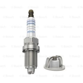 Bosch FLR 8 LDCU+ Buji