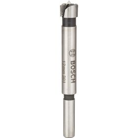 Bosch Pro Darbeli 100 mm Matkap Ucu