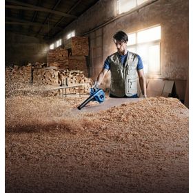 Bosch Professional GBL 800E Üfleyici