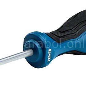 Bosch Profesyonel Torx TX10x75 mm Tornavida