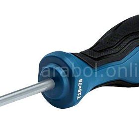 Bosch Profesyonel TX15x75 mm Torx Tornavida