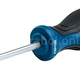 Bosch Profesyonel TX25x100 mm Torx Tornavida