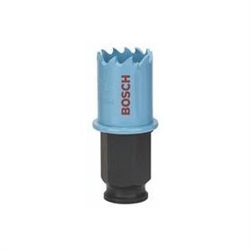 Bosch Saç Metal İçin 22 mm Delik Açma Testeresi Panç