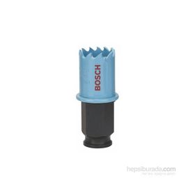 Bosch Saç Metal İçin 22 mm Delik Açma Testeresi Panç