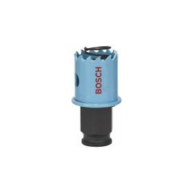Bosch Saç Metal İçin 25 mm Delik Açma Testeresi Panç