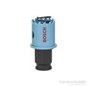 Bosch Saç Metal İçin 25 mm Delik Açma Testeresi Panç