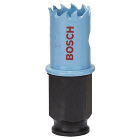 Bosch Sheet İnox 19 mm Panç