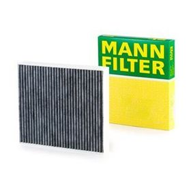 Bosch Skoda Rapid Karbonlu Polen Filtresi