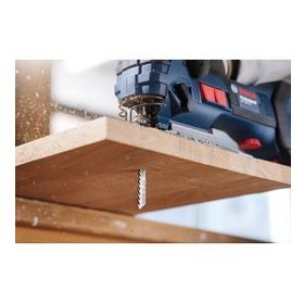 Bosch T 123 XF Kademeli Artan Dişli Metal İçin 25'li Dekupaj Testeresi Bıçağı