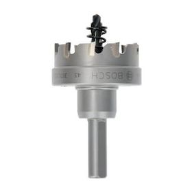 Bosch Tct 43 mm Elmas Uçlu Panç