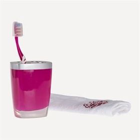 Bosphorus Gri Pembe Model Diş Fırçalık