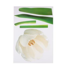 Bosphorus XFG002 Çiçekli Şeffaf Filmli Pvc 50x70 cm Duvar Stickerı
