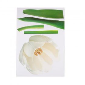 Bosphorus XFG002 Çiçekli Şeffaf Filmli Pvc 50x70 cm Duvar Stickerı