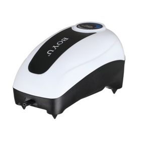 Boyu CJY-1500 1,5l/min 2,2 W Tek Çıkışlı Hava Motoru