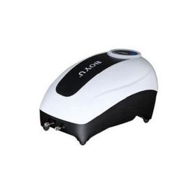 Boyu CJY-1500 1,5l/min 2,2 W Tek Çıkışlı Hava Motoru