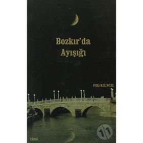 BOZKIR'DA AYIŞIĞI - FILIZ KILINÇEL