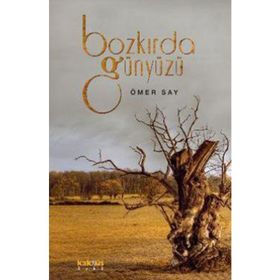 BOZKIRDA GÖKYÜZÜ - ÖMER SAY