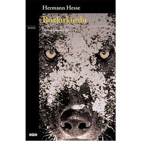 Bozkırkurdu - Hermann Hesse