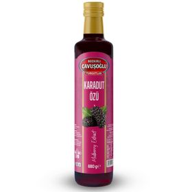 Bozkırlı Çavuşoğlu 680 gr Doğal ve Katkısız Karadut Özü