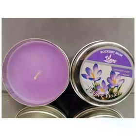 Bozkurt Winter Violet Kokulu 120 gr Teneke Mum