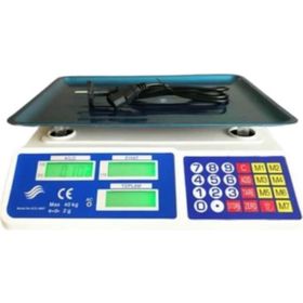 Bozyel 40 kg Elektronik Terazi