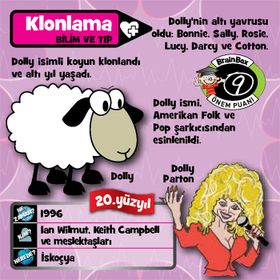 BrainBox Türkçe İcatlar