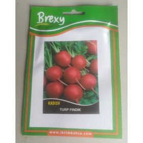 Brexy 10 gr Turp Fındık Tohumu