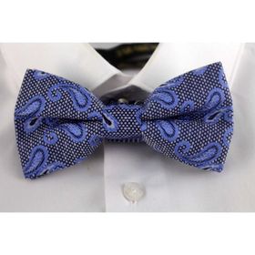 Brianze DP-20 Mavi Şal Desen Papyon
