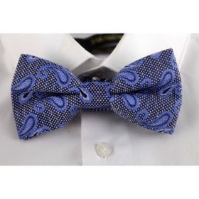 Brianze DP-20 Mavi Şal Desen Papyon
