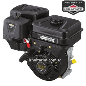Briggs & Stratton Vanguard 6.5 HP Benzinli Motor