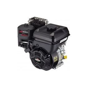 BRIGGS&STRATTON Xr550 4 Hp İlaçlama İnşaat için Benzinli Motor