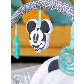 Bright Starts 12537 Gri Mickey Mouse Titreşimli Ana Kucağı
