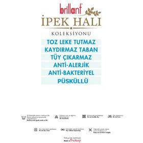 Brillant HJ11724.806 130x190 İpek Latex Halı