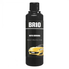 Brio 250 ml Boya Koruma